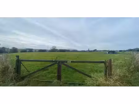 prairie à vendre à lembeek pour € 125.000