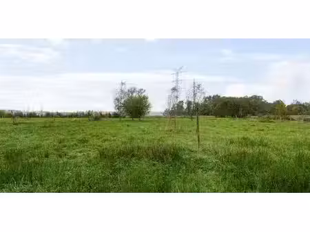 prairie à vendre à kontich pour € 129.000