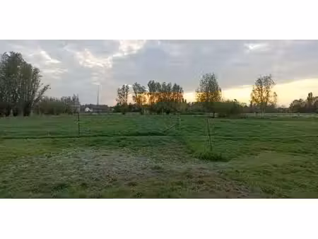 prairie à vendre à sint-gillis-waas pour € 129.000
