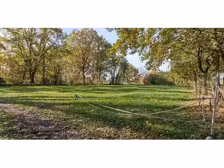 prairie à vendre à zonhoven pour € 115.000