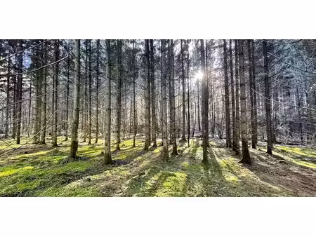 terrain à bâtir à vendre à brûly-de-pesche pour € 98.000