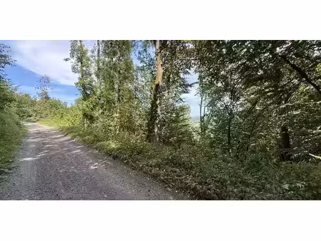 terrain à bâtir à vendre à bomal pour € 124.000