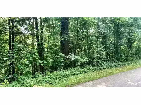 terrain à bâtir à vendre à bomal pour € 47.000