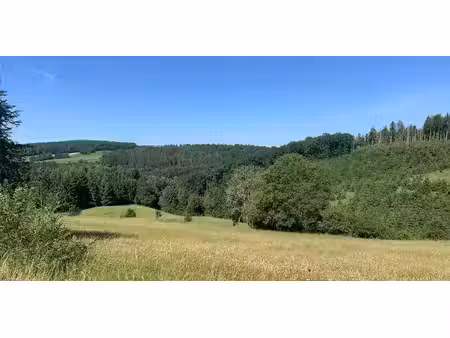 terrain à bâtir à vendre à érezée pour € 59.000