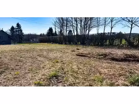 terrain à bâtir à vendre à tavigny pour € 120.000