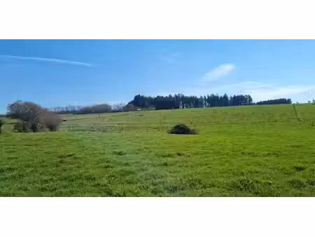 terrain à bâtir à vendre à la roche-en-ardenne pour € 110.000