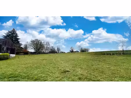 sous option - terrain à bâtir à vendre à halleux