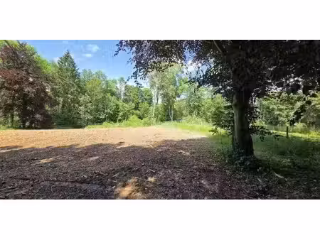 terrain à bâtir à vendre à saint-hubert pour € 95.000