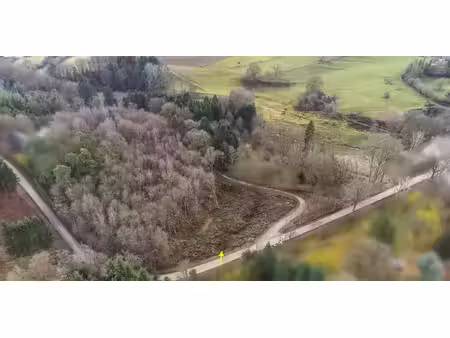 terrain à bâtir à vendre à basse-bodeux pour € 90.000