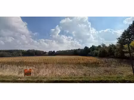sous option - terrain agricole à vendre à aarschot