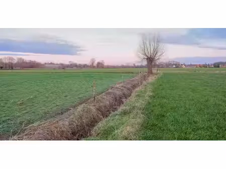 terrain agricole à vendre à beernem pour € 110.000