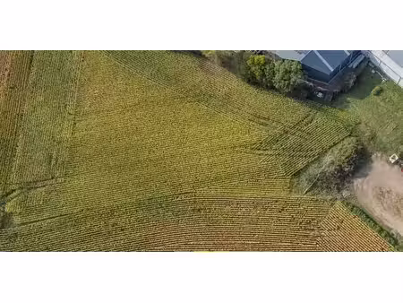 terrain agricole à vendre à lanklaar pour € 25.000