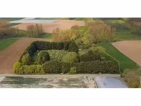 terrain agricole à vendre à geraardsbergen pour € 119.000