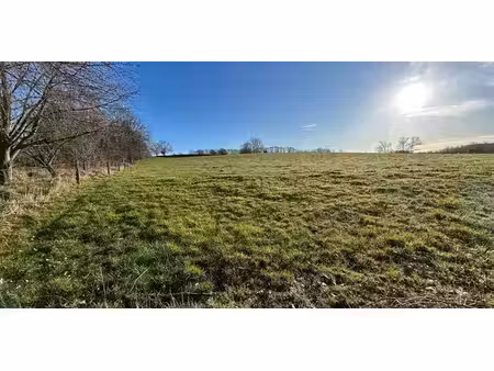 terrain agricole à vendre à gooik pour € 65.000