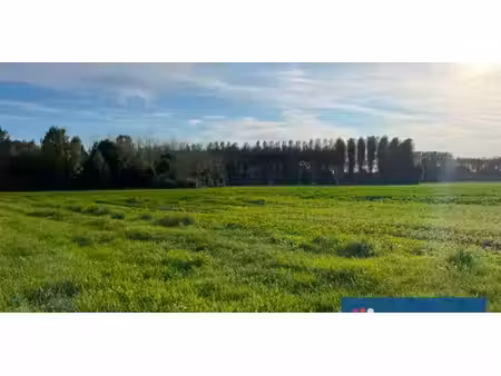 terrain agricole à vendre à halen pour € 31.900