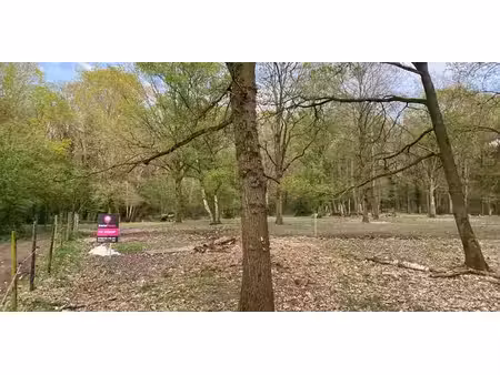 terrain agricole à vendre à zolder pour € 69.000