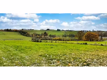 sous option - terrain agricole à vendre à nadrin