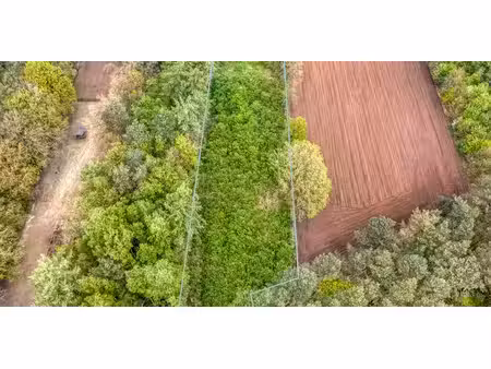 terrain agricole à vendre à lichtaart pour € 19.995