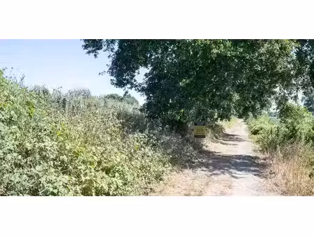 terrain agricole à vendre à ophoven pour € 27.480