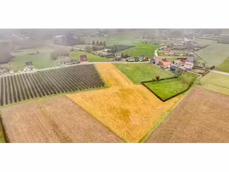 terrain agricole à vendre à hoeleden pour € 35.000