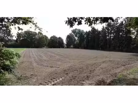 terrain agricole à vendre à linkhout pour € 23.000