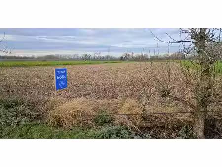 terrain agricole à vendre à uikhoven pour € 49.480