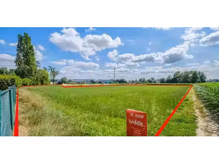 terrain agricole à vendre à hombeek à partir de € 21.000