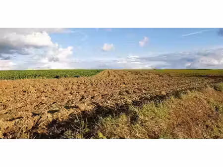 terrain agricole à vendre à jauche pour € 43.420
