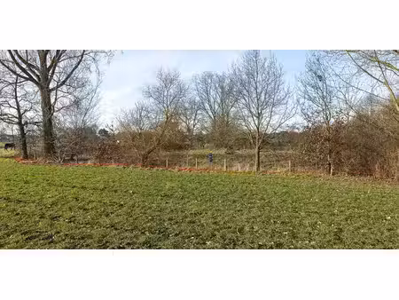 terrain agricole à vendre à zichem pour € 35.000
