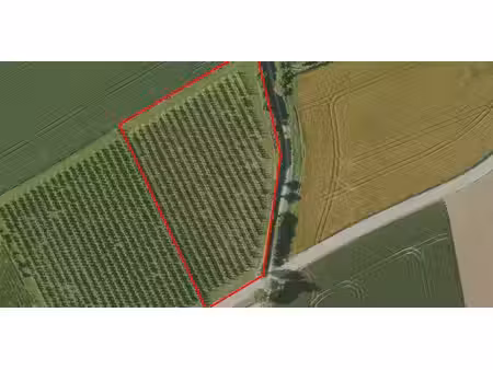 terrain agricole à vendre à sint-truiden pour € 39.000