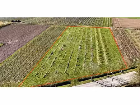 terrain agricole à vendre à gelinden pour € 54.000