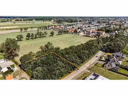 terrain agricole à vendre à stabroek pour € 30.000