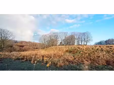 terrain agricole à vendre à tielt pour € 39.000