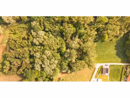 bois à vendre à tremelo pour € 26.000