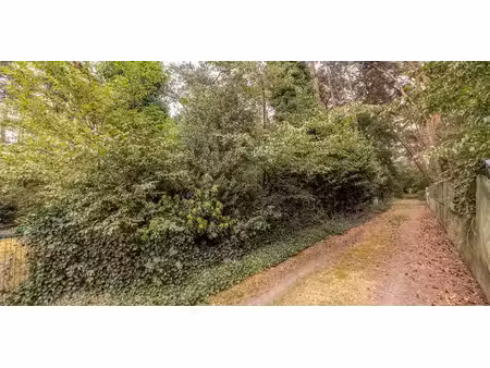 bois à vendre à vorselaar pour € 18.000