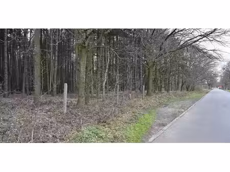 bois à vendre à wachtebeke pour € 29.500