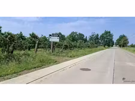 terrain à vendre à zoutleeuw pour € 75.000