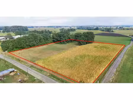 terrain agricole à vendre à morkhoven pour € 195.000