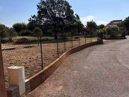 terrain