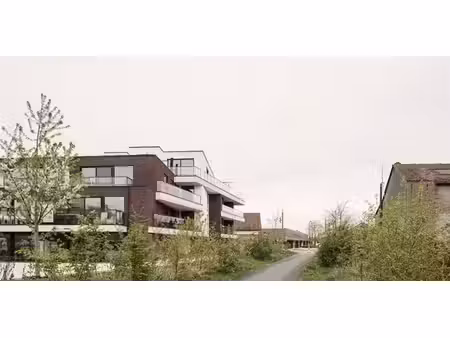 residentie meersenzicht avelgem