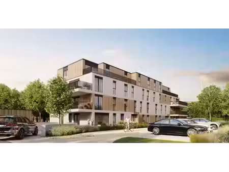 residentie oasis