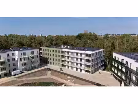 bloei
