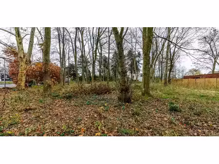terrain à bâtir à vendre à dikkelvenne pour € 199.000