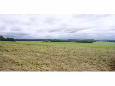 terrain agricole à vendre à harzé pour € 199.500