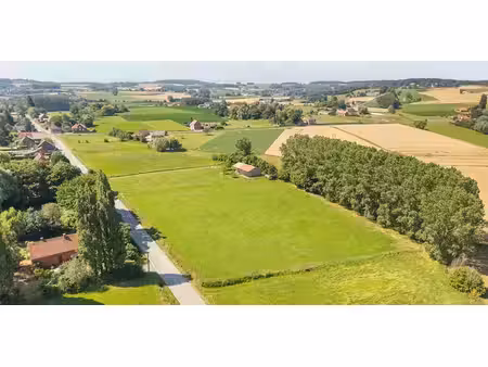 prairie à vendre à ellezelles pour € 220.000