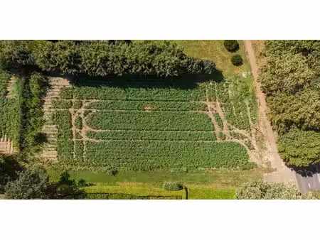 terrain à bâtir à vendre à de pinte pour € 354.000