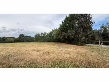 terrain à bâtir à vendre à westerlo pour € 220.000