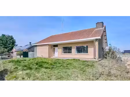 sous option - maison à vendre à wijchmaal avec 6 chambres à coucher