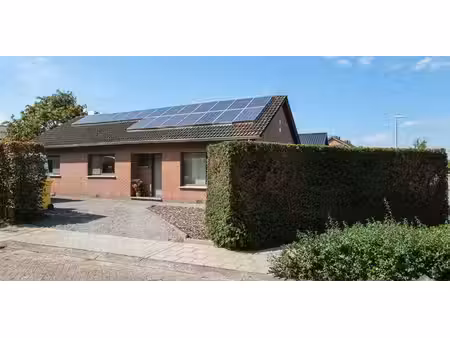 sous option - maison à vendre à tongerlo avec 3 chambres à coucher