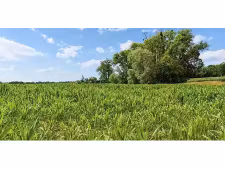 terrain agricole à vendre à haillot pour € 237.900